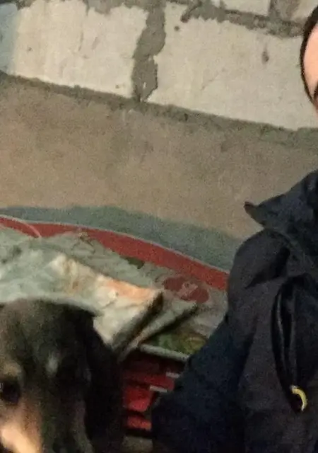 Я Александр, 46, из Сасова, ищу знакомство для общения