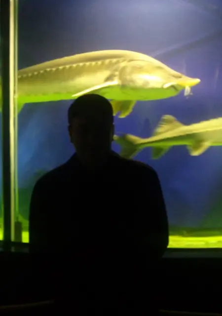 Я Андрей, 42, из Фокина, ищу знакомства без обязательств