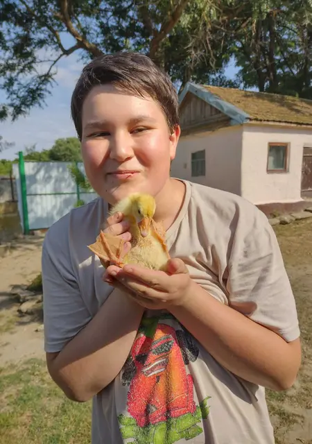 Я Вова, 37, знакомлюсь на одну ночь в Михайловске