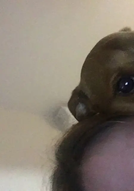 Ненасытная из Темрюка, мне 29, познакомлюсь для вирта