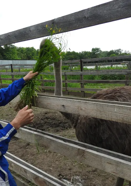 Я Роман, 53, из Ирбита, ищу знакомства на одну ночь