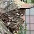 Aleksei из Абакана, ищу на сайте приятное времяпровождение